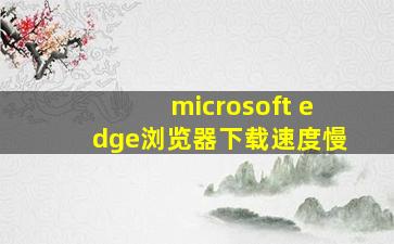 microsoft edge浏览器下载速度慢